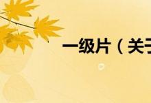 一級(jí)片（關(guān)于一級(jí)片的介紹）