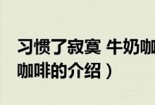 習慣了寂寞 牛奶咖啡（關于習慣了寂寞 牛奶咖啡的介紹）