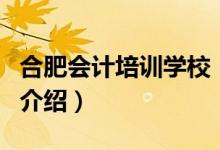 合肥會計培訓學校（關(guān)于合肥會計培訓學校的介紹）