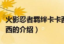 火影忍者羈絆卡卡西（關于火影忍者羈絆卡卡西的介紹）