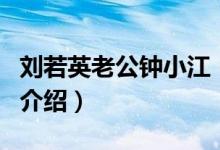 劉若英老公鐘小江（關于劉若英老公鐘小江的介紹）