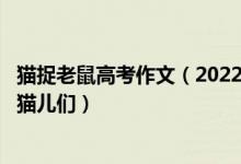 貓捉老鼠高考作文（2022高考經(jīng)典零分作文：吃魚(yú)與捕鼠的貓兒們）