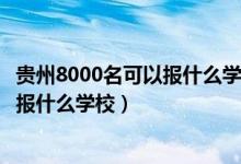 貴州8000名可以報什么學(xué)校（貴州高考位次20000左右適合報什么學(xué)校）