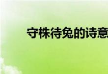 守株待兔的詩(shī)意(守株待兔的啟示)
