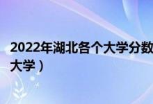 2022年湖北各個大學(xué)分?jǐn)?shù)線及高考位次預(yù)測（多少位次能上大學(xué)）