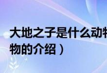 大地之子是什么動(dòng)物（關(guān)于大地之子是什么動(dòng)物的介紹）