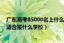廣東高考85000名上什么學(xué)校（廣東高考位次170000左右適合報(bào)什么學(xué)校）