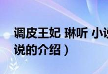 調(diào)皮王妃 琳聽(tīng) 小說(shuō)（關(guān)于調(diào)皮王妃 琳聽(tīng) 小說(shuō)的介紹）