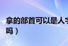 拿的部首可以是人字頭嗎（拿的部首是人字頭嗎）