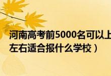 河南高考前5000名可以上什么學校（河南高考位次200000左右適合報什么學校）