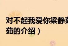 對不起我愛你梁靜茹（關(guān)于對不起我愛你梁靜茹的介紹）