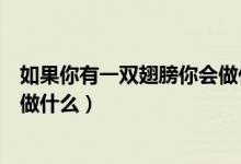 如果你有一雙翅膀你會(huì)做什么（作文如果你有一雙翅膀你會(huì)做什么）