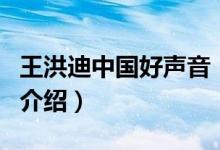 王洪迪中國(guó)好聲音（關(guān)于王洪迪中國(guó)好聲音的介紹）