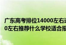 廣東高考排位14000左右選哪間大學好（廣東高考位次30000左右推薦什么學校適合報什么大學）