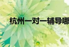 杭州一對一輔導(dǎo)哪家機(jī)構(gòu)好（怎么選擇）