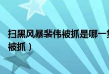 掃黑風(fēng)暴裴偉被抓是哪一集（電視劇掃黑風(fēng)暴裴偉在第26集被抓）