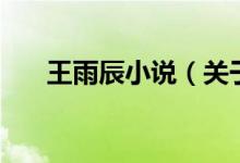 王雨辰小說(shuō)（關(guān)于王雨辰小說(shuō)的介紹）