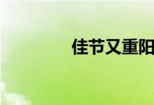 佳節(jié)又重陽(yáng)(佳節(jié)又重陽(yáng))