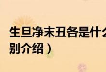 生旦凈末丑各是什么意思(生旦凈末丑意思分別介紹)