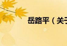 岳路平（關于岳路平的介紹）