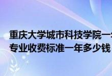 重慶大學(xué)城市科技學(xué)院一年費(fèi)用（重慶大學(xué)城市科技學(xué)院各專業(yè)收費(fèi)標(biāo)準(zhǔn)一年多少錢）