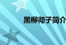 黑柳徹子簡介（黑柳徹子是誰）