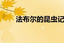法布爾的昆蟲記介紹（昆蟲記簡(jiǎn)介）
