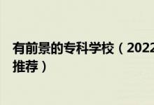 有前景的?？茖W(xué)校（2022業(yè)界內(nèi)口碑非常好的5所?？茖W(xué)校推薦）