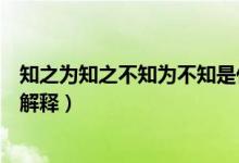 知之為知之不知為不知是什么意思（知之為知之不知為不知解釋）