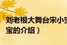 劉老根大舞臺宋小寶（關(guān)于劉老根大舞臺宋小寶的介紹）