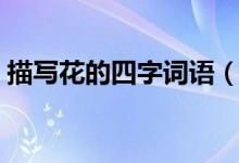 描寫花的四字詞語（什么詞語是描寫花朵的）