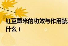 紅豆薏米的功效與作用禁忌（紅豆薏米的功效與作用禁忌是什么）