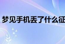 夢見手機丟了什么征兆（夢見手機丟了解釋）