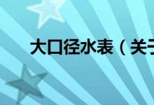 大口徑水表（關于大口徑水表的介紹）