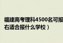 福建高考理科4500名可報什么學(xué)校（福建高考位次40000左右適合報什么學(xué)校）