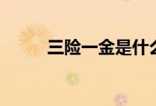 三險一金是什么（三險一金解釋）