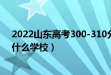 2022山東高考300-310分能報什么大學(xué)（物理歷史類推薦什么學(xué)校）