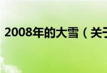 2008年的大雪（關(guān)于2008年的大雪的介紹）