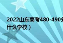 2022山東高考480-490分能報(bào)什么大學(xué)（物理歷史類推薦什么學(xué)校）