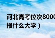 河北高考位次8000左右推薦什么學(xué)校（適合報什么大學(xué)）