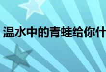 溫水中的青蛙給你什么啟示(溫水中的青蛙)