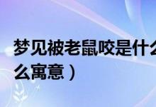 夢見被老鼠咬是什么意思(夢見被老鼠咬是什么寓意)