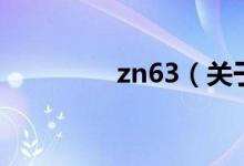zn63（關(guān)于zn63的介紹）