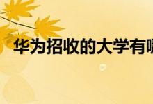 華為招收的大學(xué)有哪些（招生最多的院校）