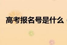 高考報(bào)名號是什么（高考報(bào)名號怎么查詢）