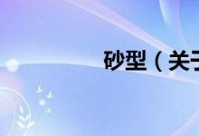 砂型(關(guān)于砂型的介紹)