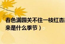 春色滿園關(guān)不住一枝紅杏出墻來是什么季節(jié)（一枝紅杏出墻來是什么季節(jié)）