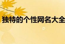 獨特的個性網名大全（獨特的個性網名精選）