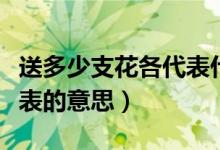 送多少支花各代表什么意思（送花的朵數(shù)與代表的意思）