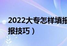2022大專怎樣填報(bào)志愿（專科生高考志愿填報(bào)技巧）